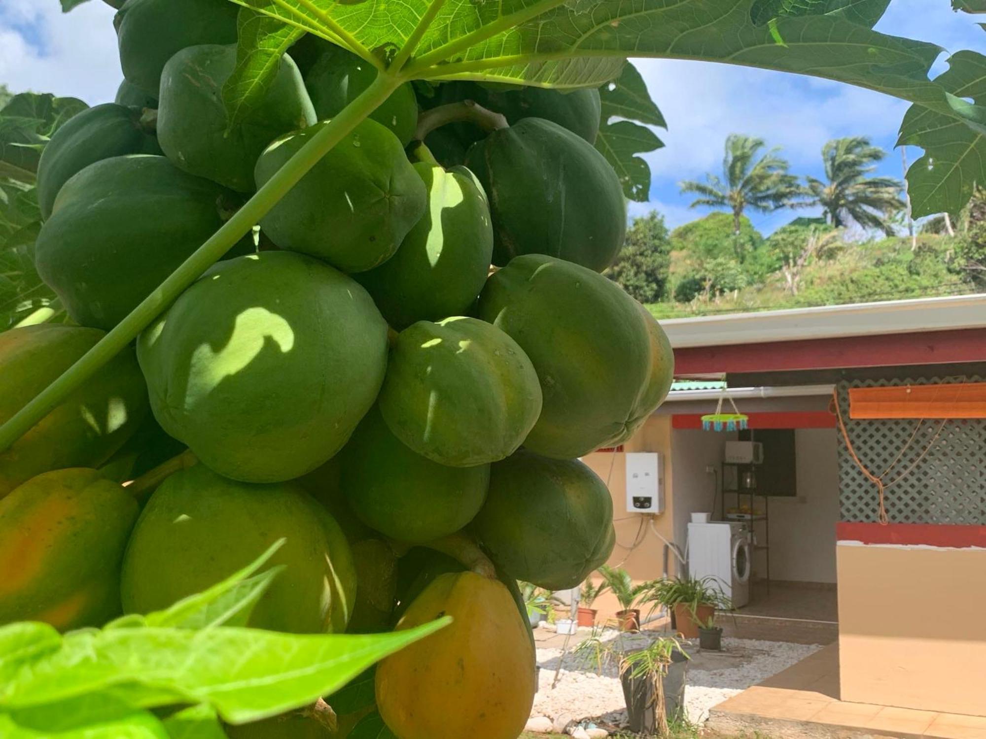 Lemon House Hotel Maroe Luaran gambar